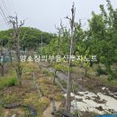 청통보건지소 이미지