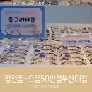 으뜸50안경 부산대점 | 부산대안경 부담없는 가격 으뜸50안경 부산대점