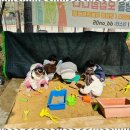 아이행복한어린이집 이미지