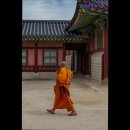 늘푸른고시원 - 은평구 은평로 12 | 늘푸른고시원