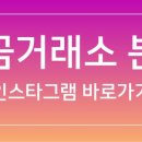 금이수지 이미지