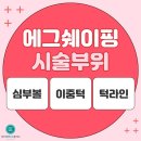 에그멍 이미지