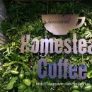 슈네발렌 이미지