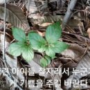 (주)심산 이미지