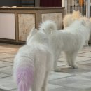 겨울이 머무는 집 이미지