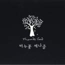 세나클네일