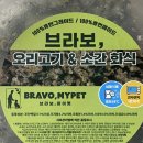 브라보 마이펫 이미지