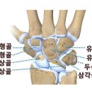 MS재건병원 이미지