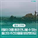 주전어촌체험휴양마을 | 8월의 여름 풍경을 만나볼 수 있는 울산의 주전마을을 방문했어요.