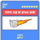 버거더심플 이미지