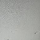 팬더아파트 이미지