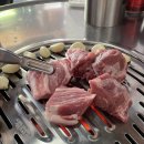 민경애견 이미지