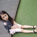 바니플랫 이미지