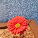 부천테크노파크 1단지 이미지