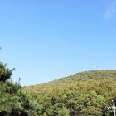 곤지암 한솔유치원 이미지