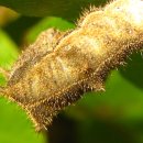 흑성산약수 이미지