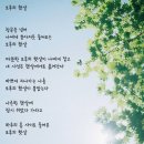 오후의 햇살