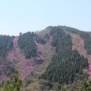 천주산 만남의 광장 이미지