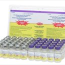 루스켄넬 이미지