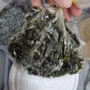 감성낙곱새(광명금천점) 이미지