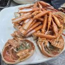 동남식당 | 포항 죽도시장 횟집 [동남회식당] 내돈내산 후기