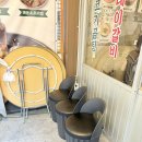 논현참사랑약국 | <신논현역 • 소제이 서울본점 •> 신논현 소고기 회식 장소추천 , 소꼬리찜 맛있는 곳 솔직후기 !