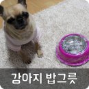 서현사료