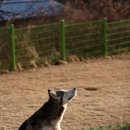 호텔아이 이미지