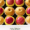 귀향민 | 우크라이나, AI 로봇으로 ‘지뢰와의 전쟁’…전쟁의 판도가 바뀌나