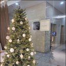 바이킴피부과의원 이미지