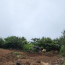 이동문농장 이미지