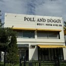 도기그루밍 이미지