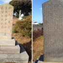 오조리-7 네이버블로그