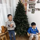 쿼카사진관 네이버블로그