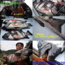 오늘도 남해 이미지