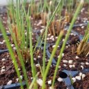 나눔농원 이미지