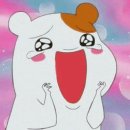 머리붙이바