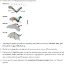 영어로부터의 자유 Freedom from English | [PTE Academic] 직장 병행하며 첫트만에 Overall 90 성공!!(후기, 팁, 템플릿 공유)