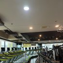 헬스위드짐 이미지