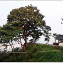 보적사