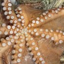 고잠2길 2 이미지