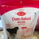 엔젤펫애견샵 이미지