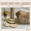 그루밍도그 | 고양이용품 그램도그 고양이 원목수직스크래쳐로 스트레스 해소~