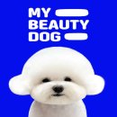 마이뷰티독 광명점 이미지