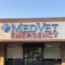 앤(N)고양이병원 | 미국 동물병원 응급실 MedVet 방문 후기, 비용정리