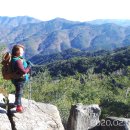 화원자연휴양림 이미지