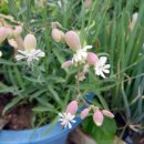 목화소아청소년과의원 이미지