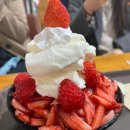 동진돼지꿀꿀 | 부산맛집 (부산가서 1박2일동안 5kg찌는 법)