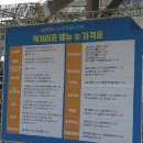 CU동충주휴게소점 | [충주] 생각보다 규모가 크고 재밌었던 '다이브 페스티벌' 찍 먹 후기!