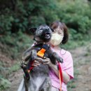 팅커벨하우스 이미지